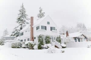 winter photography